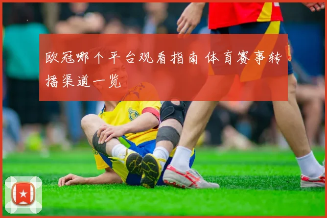 欧冠哪个平台观看指南 体育赛事转播渠道一览