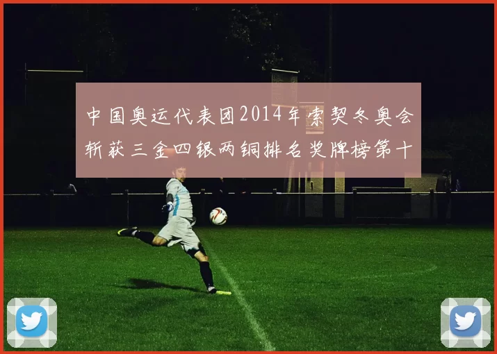 中国奥运代表团2014年索契冬奥会斩获三金四银两铜排名奖牌榜第十二位