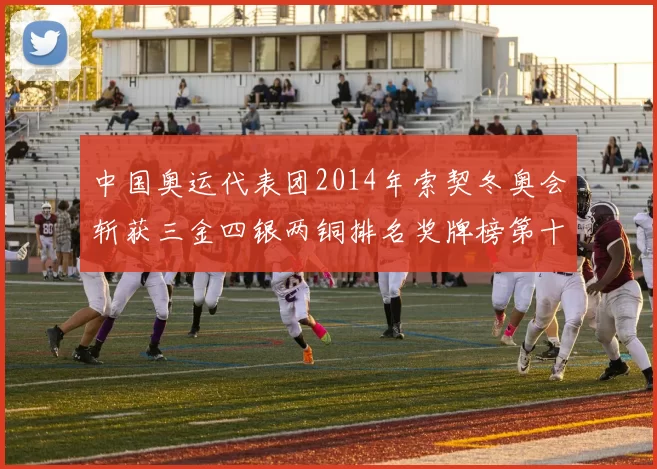 中国奥运代表团2014年索契冬奥会斩获三金四银两铜排名奖牌榜第十二位